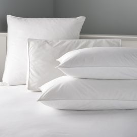 V 100% Cotton Microfibre Pillow 