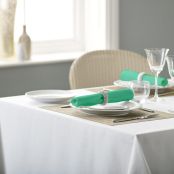 V Polyester Plain Coloured Napkin (Clearance)